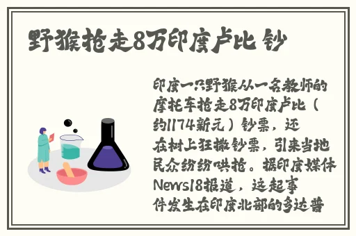 麻花传媒沈芯语澳门大象传媒