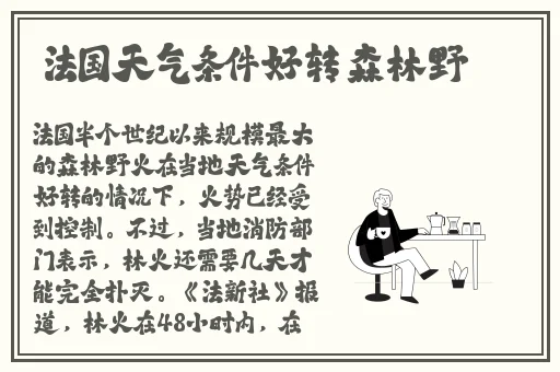 草莓丝瓜芭乐鸭脖奶茶的定价策略