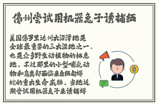 拔萝卜打牌不盖被子